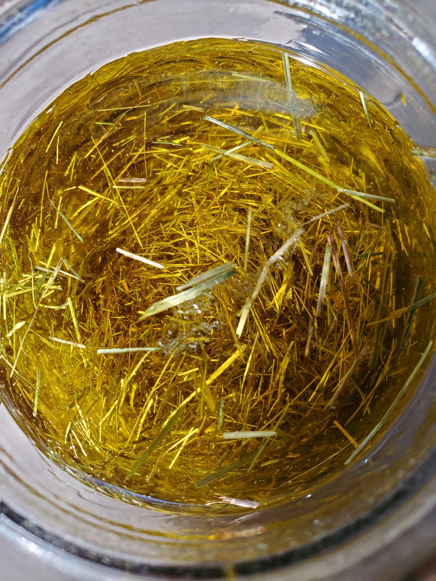 Bear Grease Sweetgrass Salve