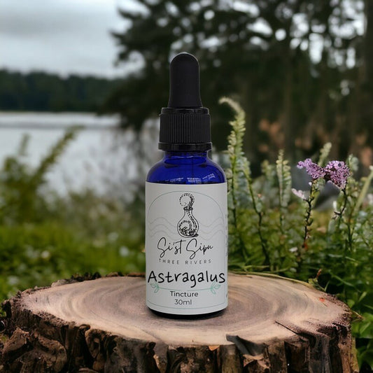 Astragalus Tincture