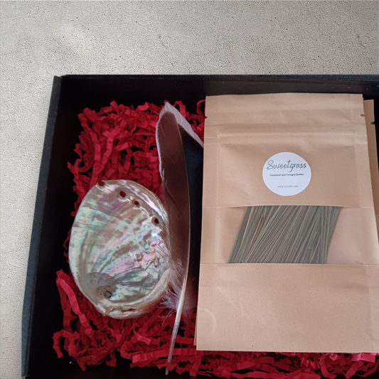 Four Sacred Medicines Smudge Kit