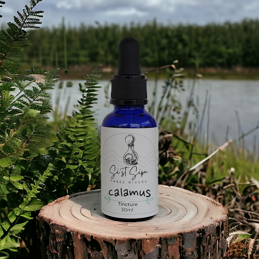 Calamus Root Tincture