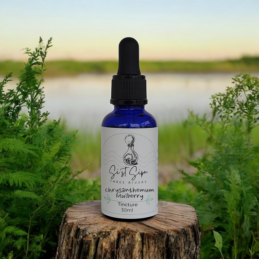 Chrysanthemum and Mulberry Leaf Tincture
